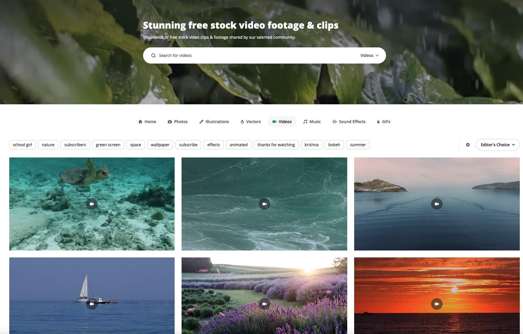 免費商用多媒體素材資源：探索Pixabay的高質(zhì)量庫存圖片和視頻