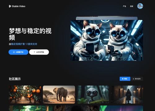 Stable Video插图 Stable Video