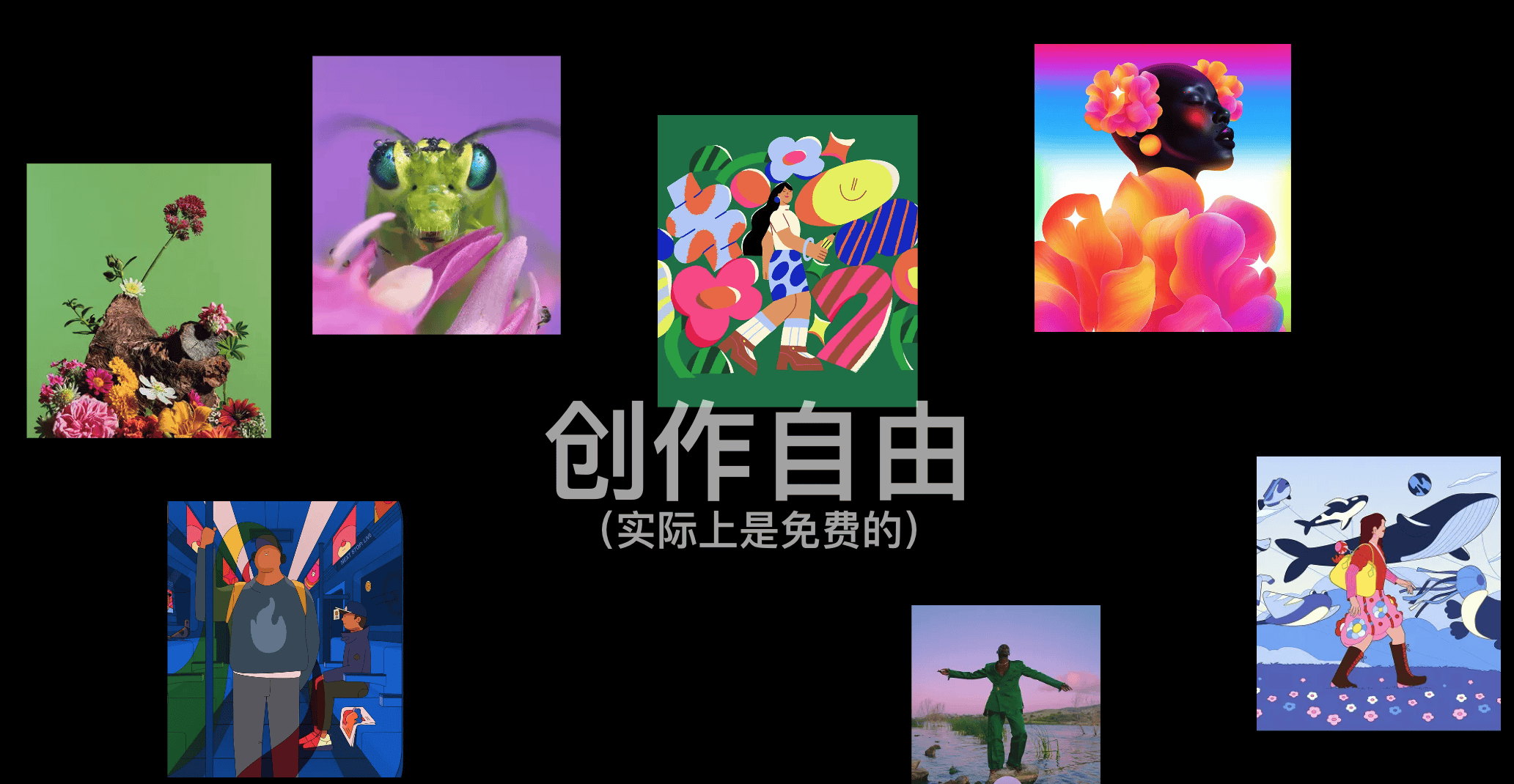 图片